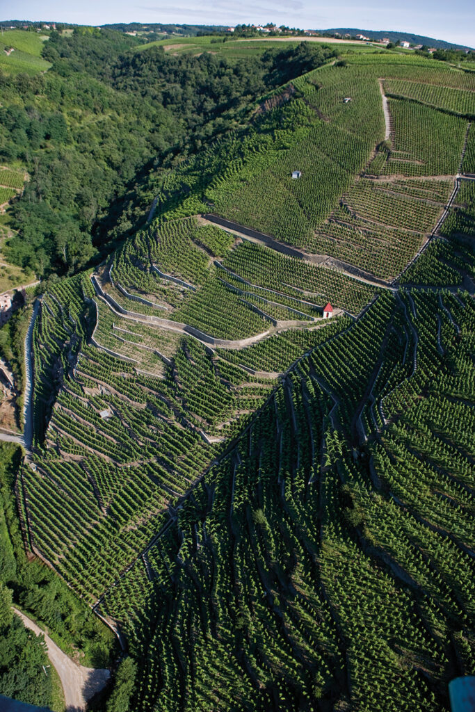 côte-rôtie